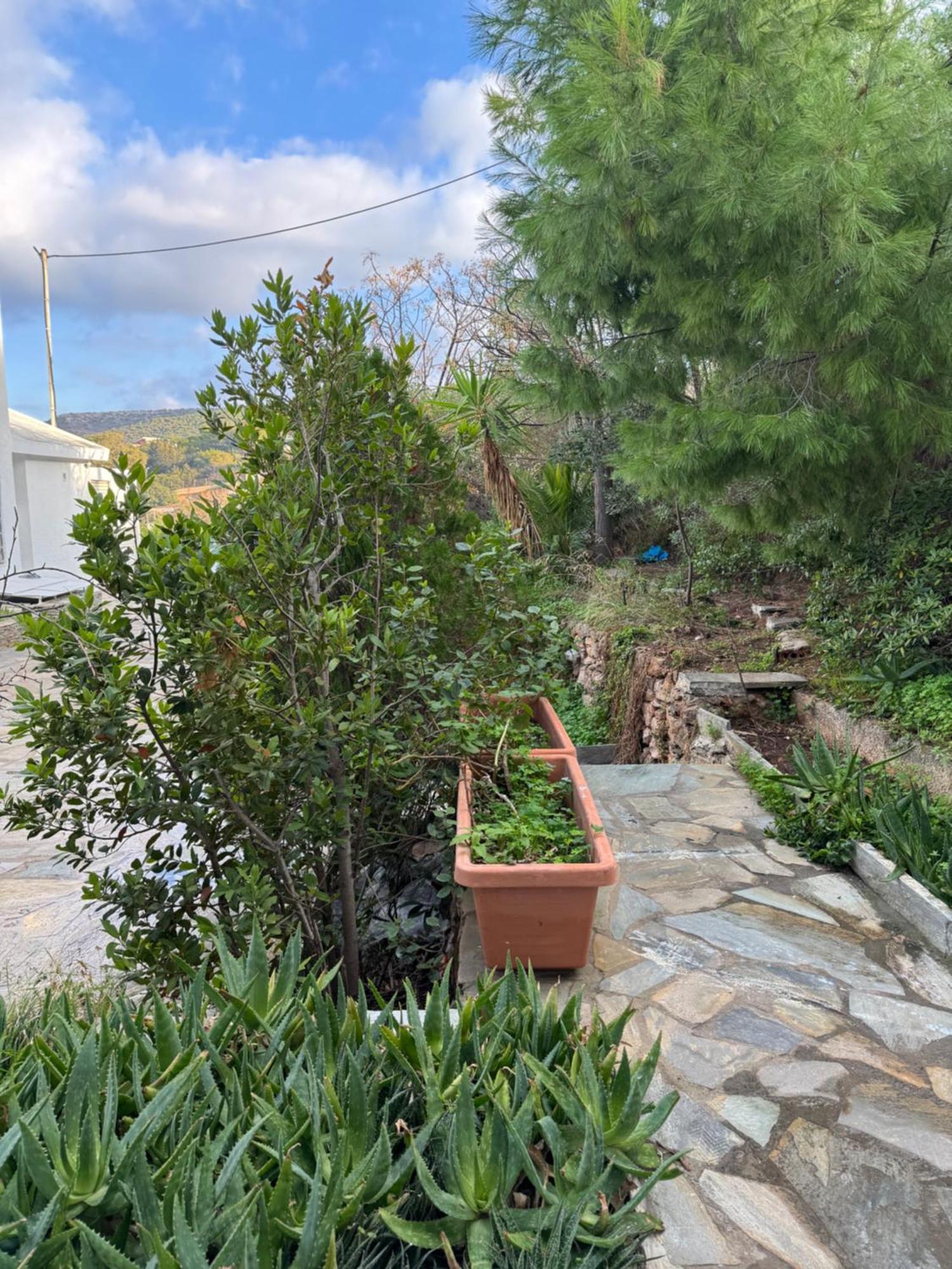 Sounio Studio Sounion Exterior photo